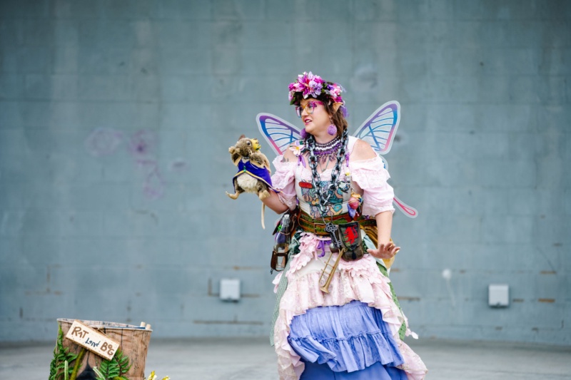 Become a Renaissance Festival Performer